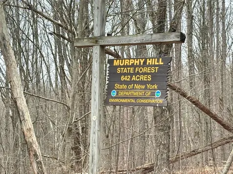 2636 Murphy Hill Road Andes NY 13731