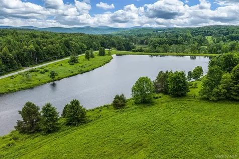 61 Fusco Drive Jefferson NY 12093