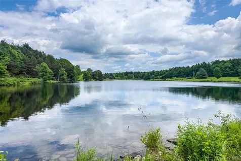 61 Fusco Drive Jefferson NY 12093