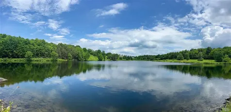 61 Fusco Drive Jefferson NY 12093