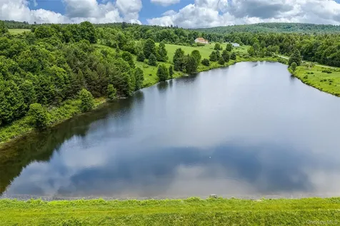 61 Fusco Drive Jefferson NY 12093
