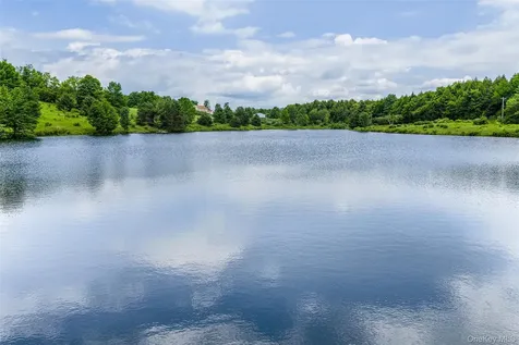 61 Fusco Drive Jefferson NY 12093