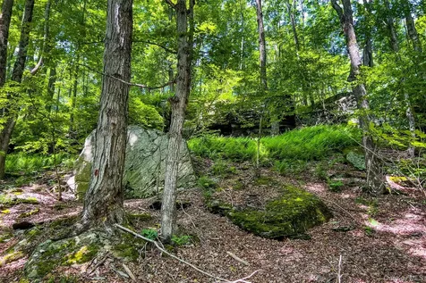 61 Fusco Drive Jefferson NY 12093