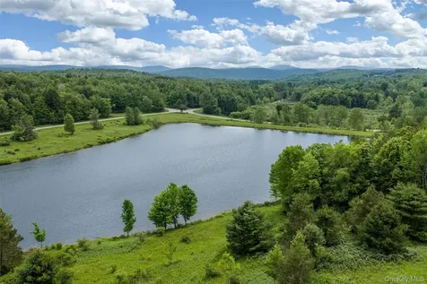 61 Fusco Drive Jefferson NY 12093