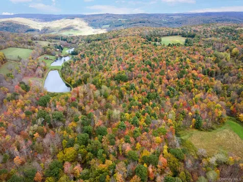 734 Post Road Franklin NY 13775