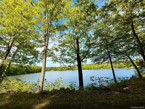 96 Plank Road Mongaup Valley NY 12762