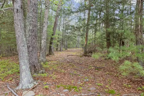 125 Stone Road West Hurley NY 12491