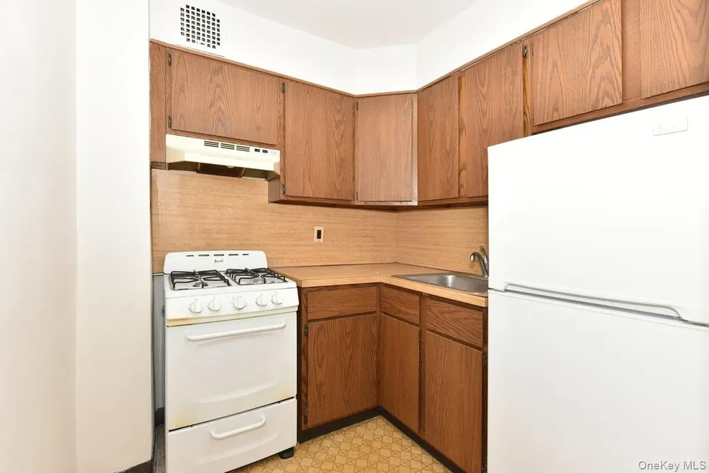4 Birchwood Court Mineola NY 11501