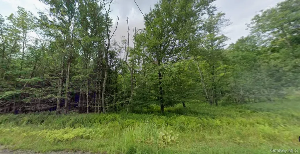 780 Tanzman Road Parksville NY 12768