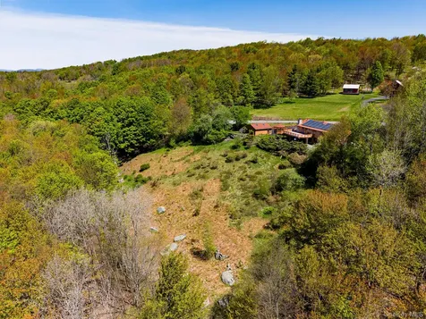 203 Skyline Drive Woodbourne NY 12788