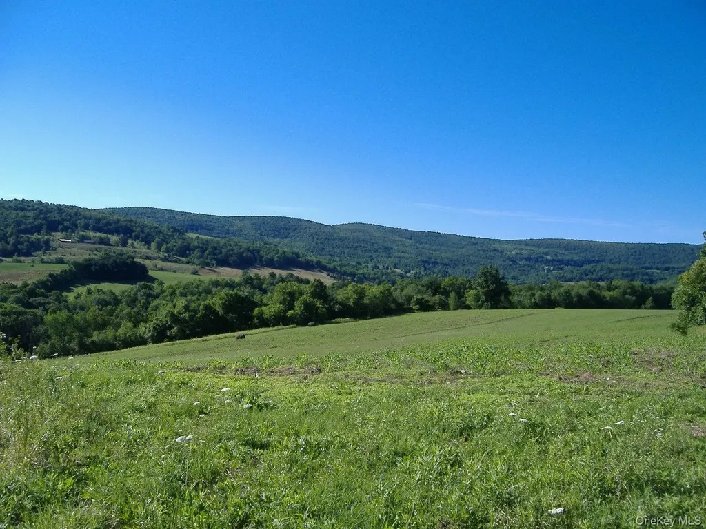 L2.112 Ploss Road Call Listing Agent NY 12149