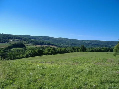 L2.112 Ploss Road Call Listing Agent NY 12149