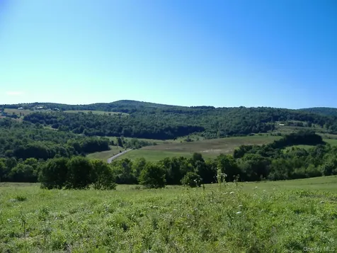 L2.112 Ploss Road Call Listing Agent NY 12149