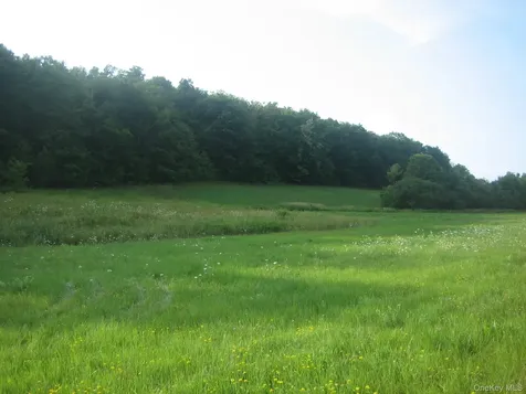 L2.112 Ploss Road Call Listing Agent NY 12149