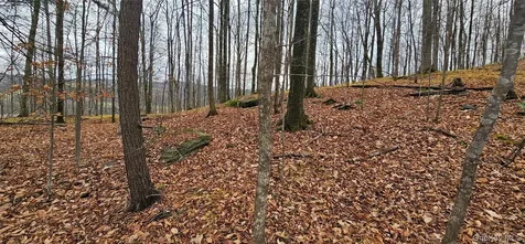 L2.112 Ploss Road Call Listing Agent NY 12149