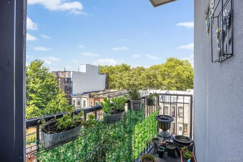 305 Sumpter Street Brooklyn NY 11233