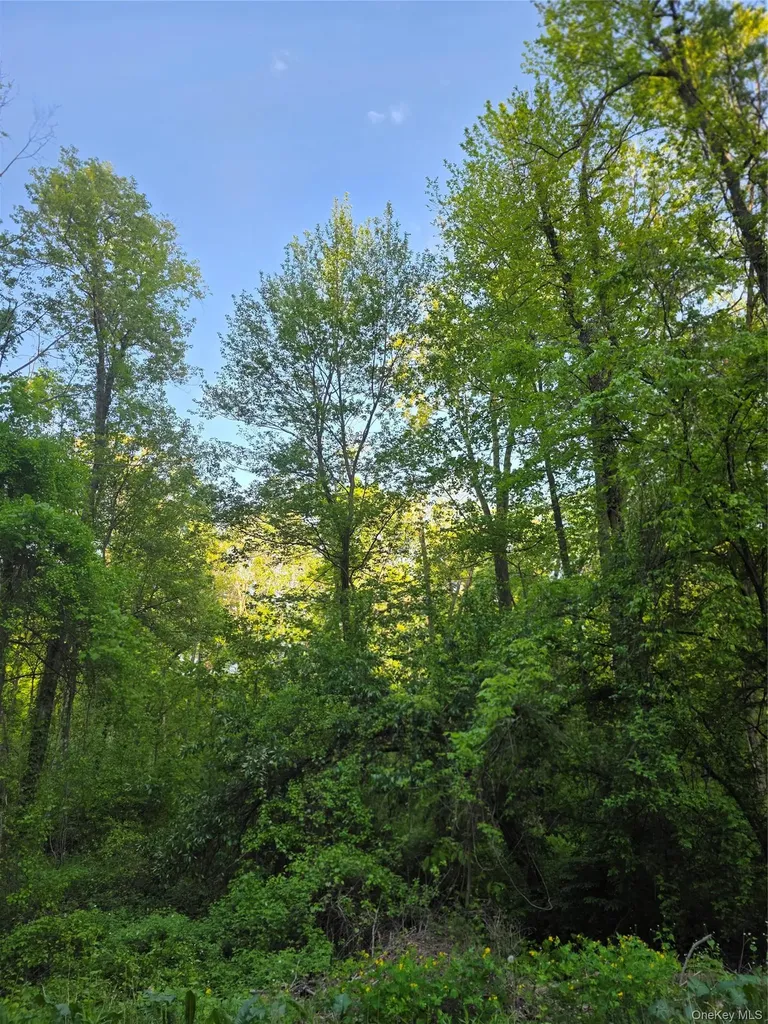 122 Archer Road Mahopac NY 10541