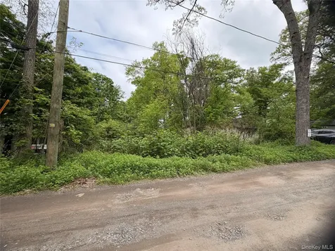 48 Paradise Trail Blooming Grove NY 10914