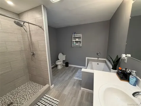 1181 Sackett Lake Road Forestburgh NY 12777