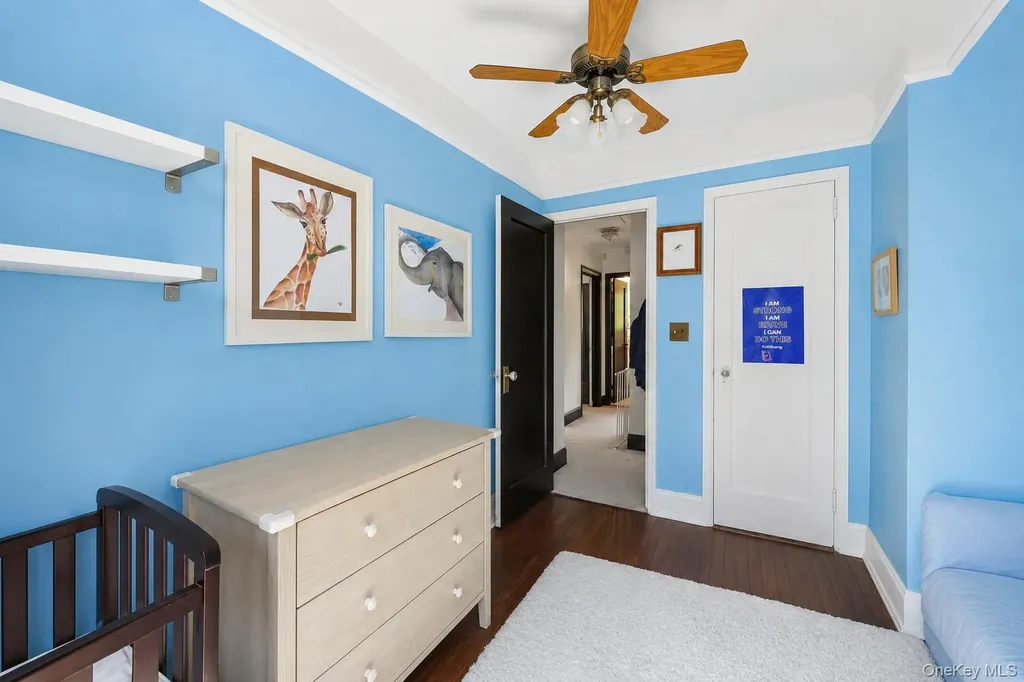 60 Croyden Road Mineola NY 11501
