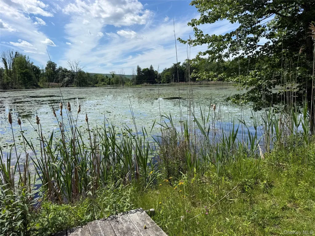 280 Route 164 Patterson NY 12563