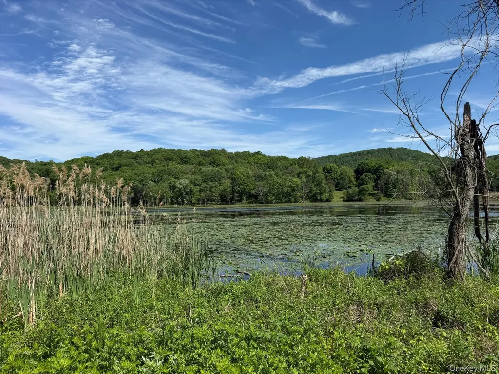 280 Route 164 Patterson NY 12563