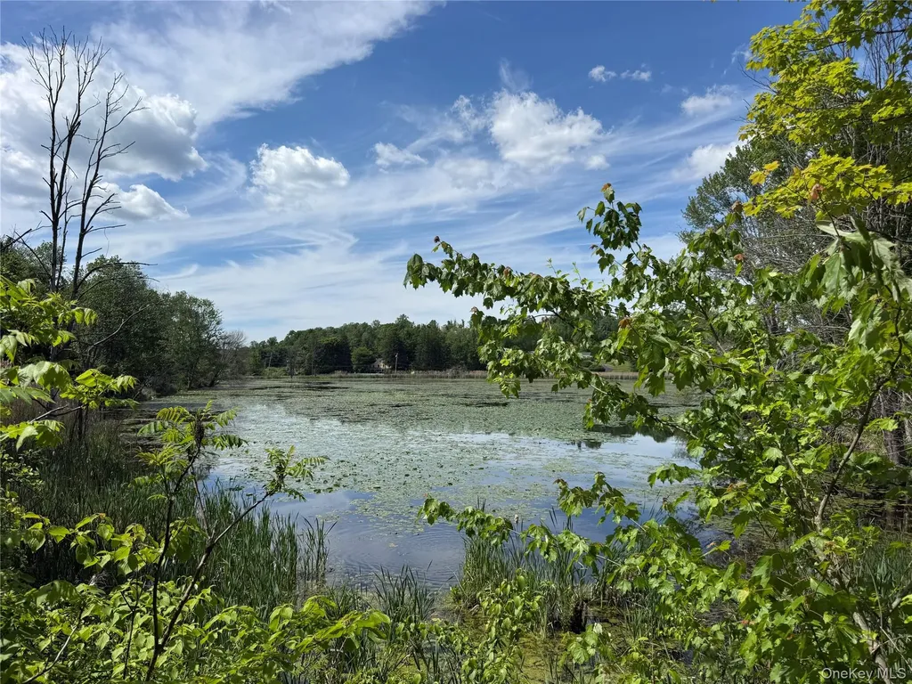 280 Route 164 Patterson NY 12563