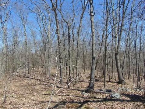 382 Cedar Hill Road Fishkill NY 12524