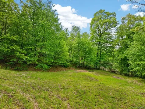 12 Parks Wood Drive Cornwall NY 12518