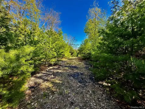 101 Stone Road Hurley NY 12491