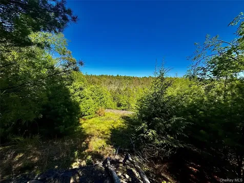 101 Stone Road Hurley NY 12491