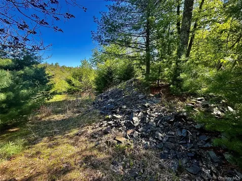 101 Stone Road Hurley NY 12491