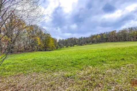 0 Brownell Road Bloomville NY 13739