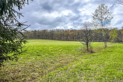 0 Brownell Road Bloomville NY 13739