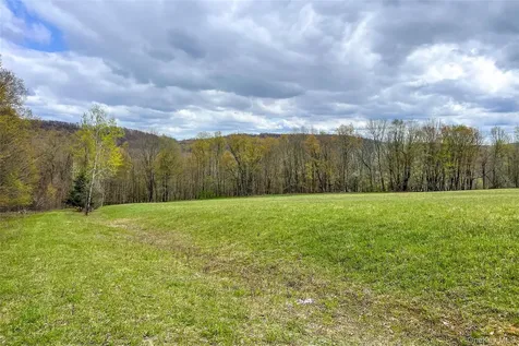 0 Brownell Road Bloomville NY 13739