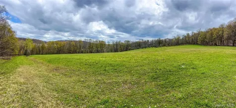 0 Brownell Road Bloomville NY 13739