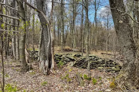 0 Brownell Road Bloomville NY 13739