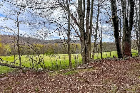 0 Brownell Road Bloomville NY 13739