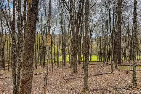 0 Brownell Road Bloomville NY 13739