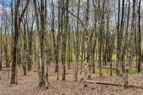0 Brownell Road Bloomville NY 13739