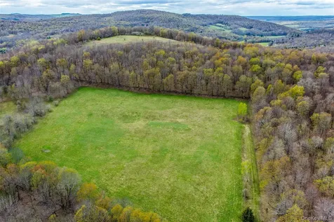 0 Brownell Road Bloomville NY 13739