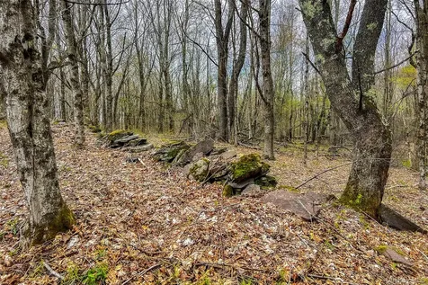 0 Brownell Road Bloomville NY 13739