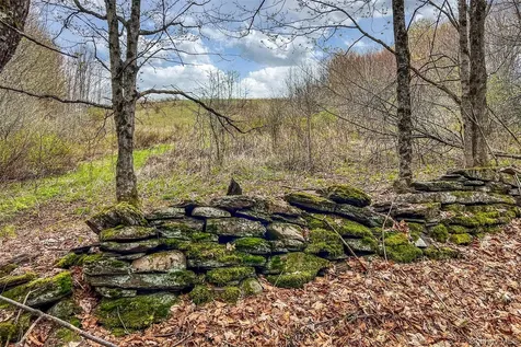 0 Brownell Road Bloomville NY 13739