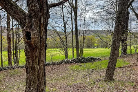 0 Brownell Road Bloomville NY 13739