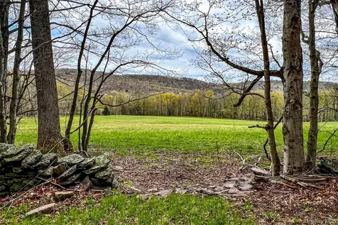 0 Brownell Road Bloomville NY 13739