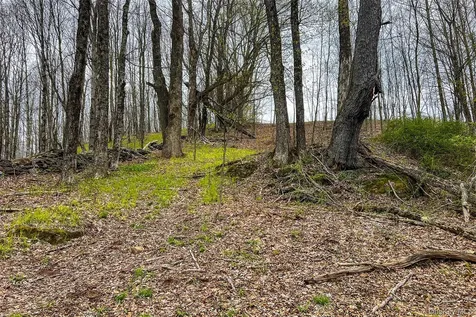 0 Brownell Road Bloomville NY 13739