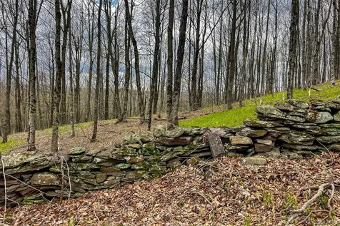 0 Brownell Road Bloomville NY 13739