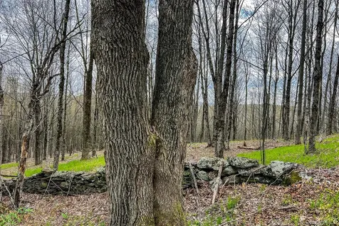 0 Brownell Road Bloomville NY 13739