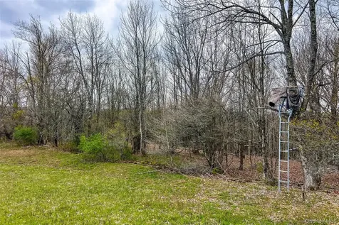 0 Brownell Road Bloomville NY 13739