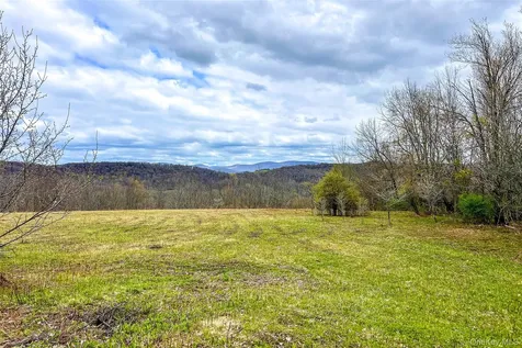 0 Brownell Road Bloomville NY 13739